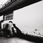 Transporte Andino 5 7 OK