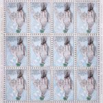 Farhana, con el mundo en los ojos 5 p77 20th CL dove