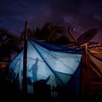 El terremoto en fotos 4 MG 8106