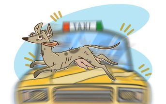 Vivir mata columna Huilo Ruales