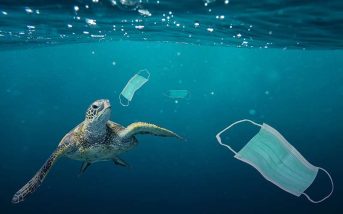 contaminación plástica.