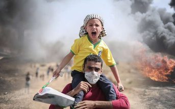 Guerra Palestina - Israel.