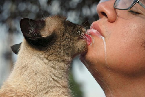 Óscar Santillán. Allá donde se juntan las paralelas. 5 El manifiesto de la bondad, Performance documentado en diapositivas analógicas, 2012.