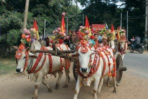 Myanmar: el país del conflicto y el encanto 3 16-bagan-procesion