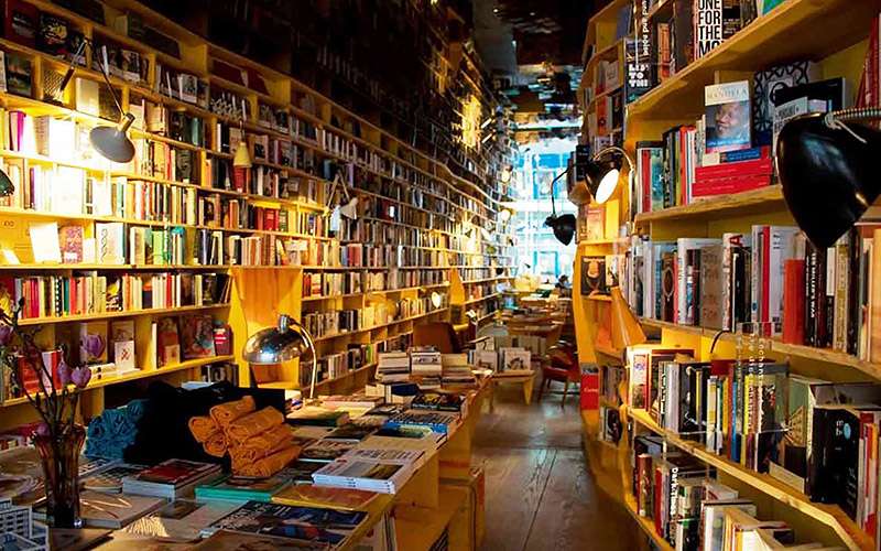 El Burro Culto 1 1 burro culto