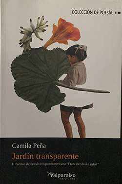 Una buena opción es regalar un libro 6 2jardintransparente 1