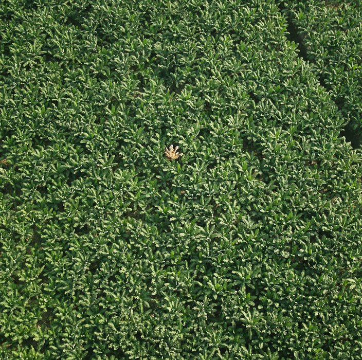 María José Argenzio, contra el oro y el linaje. 9 Galería----6