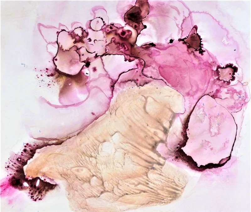 El Ecuador en la modernidad de Olga Dueñas 1 5 word image 1