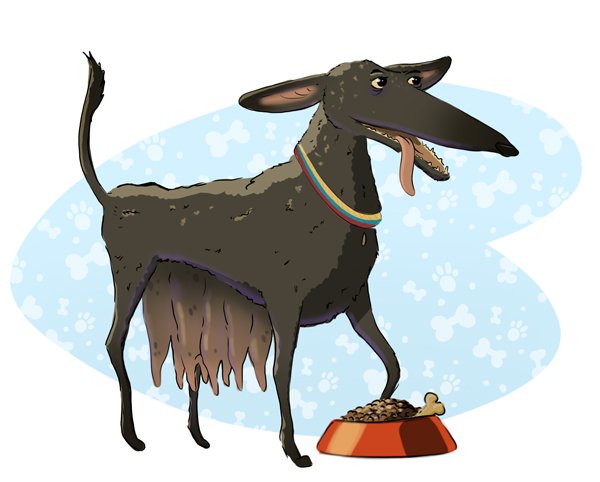 Patria sin dueño. 1 Firma-Huilo