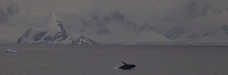 Atmósfera Antártica 4 AN 07 149