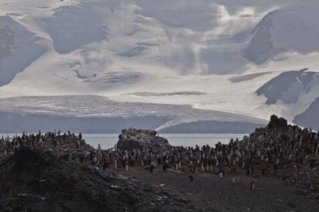 Atmósfera Antártica 5 AN 08 067