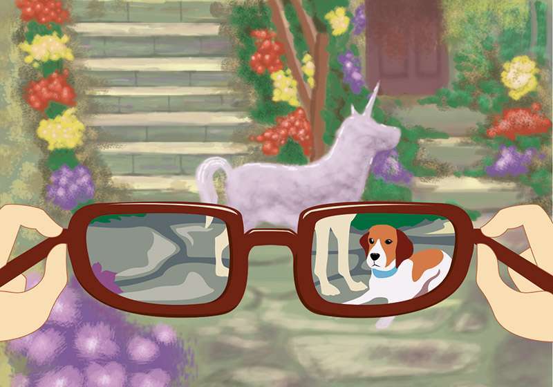 Fuera de foco 1 AnaCrFran470