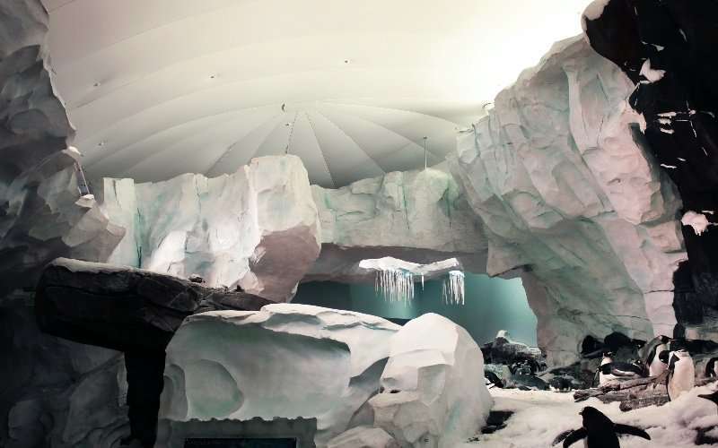 Terra Incognita: Antártida, entre la realidad y la fantasía 6 Antártida