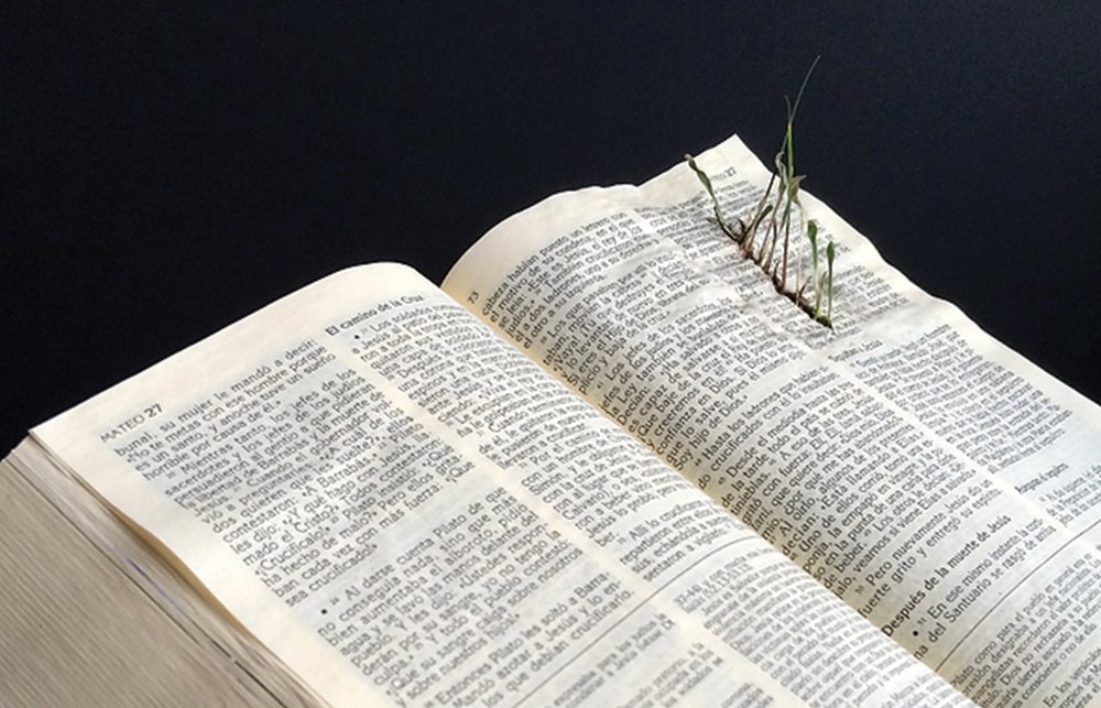 Ricardo Coello Gilbert y las trampas de la fe. 2 apariciones