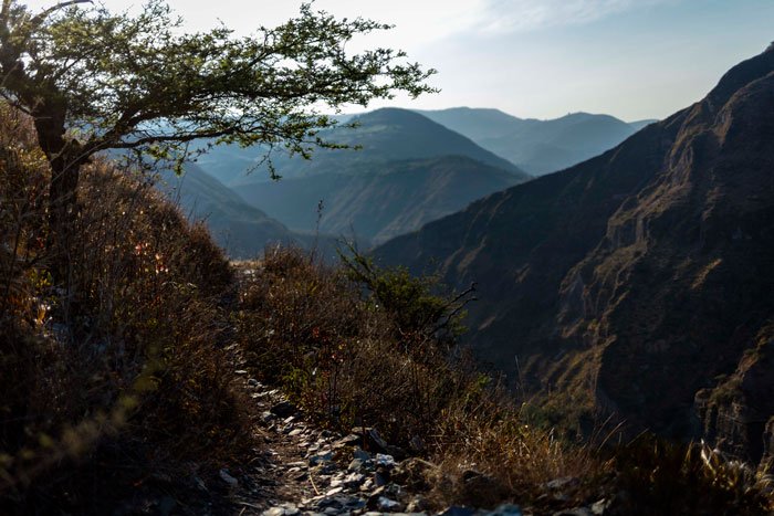 Arrieros de caña y contrabando. 2 Arrieros-2