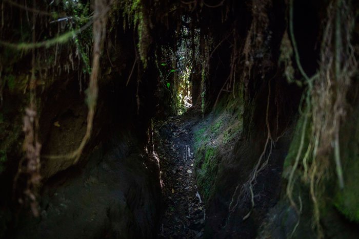 Arrieros de caña y contrabando. 3 Arrieros-3