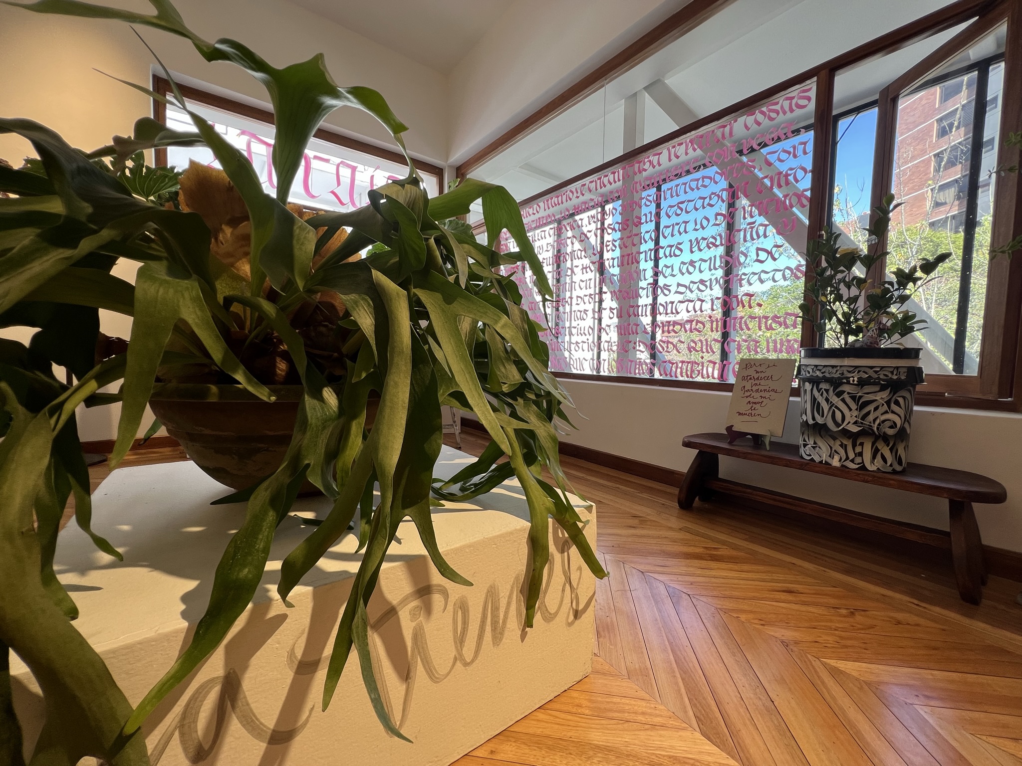 La última casa de Benjamín Carrión se llena de arte urbano y muchos libros 1 CCBC