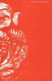 Siete poemarios imperdibles de escritoras ecuatorianas 2 Caballo 1