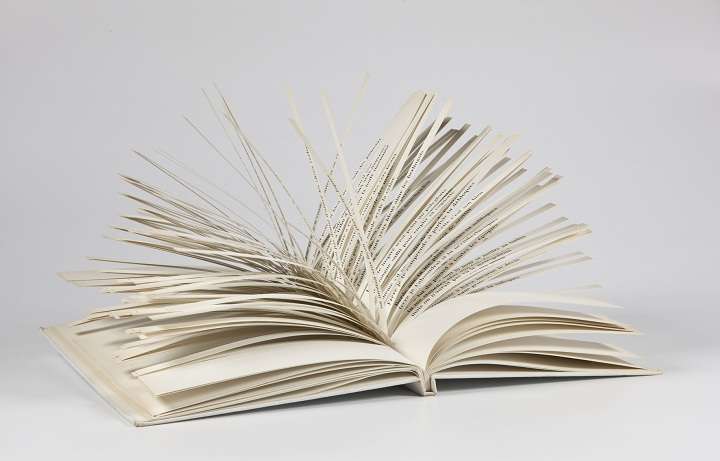 Libros inclasificables, cinco objetos literarios de colección 1 inclasificable libro