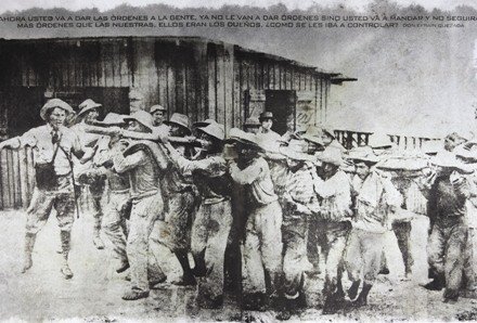 TOMÁS OCHOA o el arte convertida en pólvora 1 Cineraria part2 OK