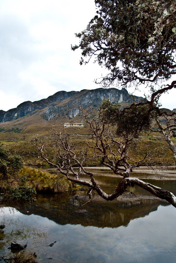 Cuenca, más verde. 6 Laguna Toreadora.
