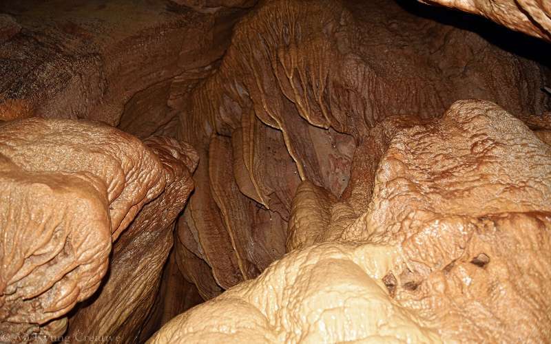 La Cueva de los Tayos abre su penumbra a mayores misterios 1 Cueva de los Tayos 1