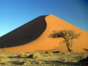 ¿Qué busca el hombre en los desiertos? 3 Desierto-Namibia-papers