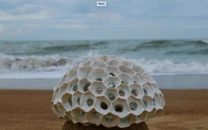 Diana Valarezo, una ecuatoriana nómada en cuerpo y arte 3 Diana Valarezo arte