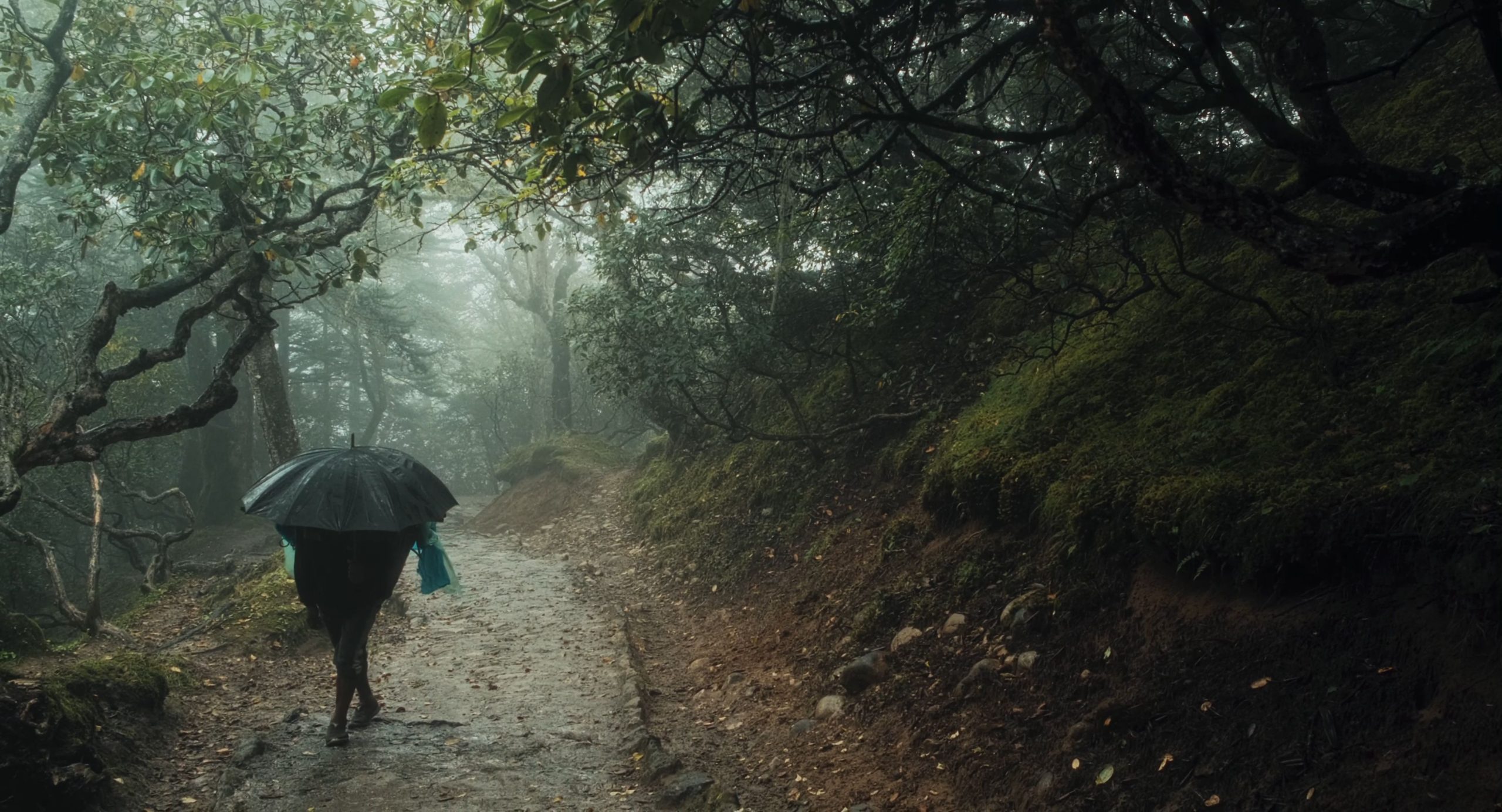 Cordero y Vallejo transitan más allá de la niebla 2 Docu 1 scaled