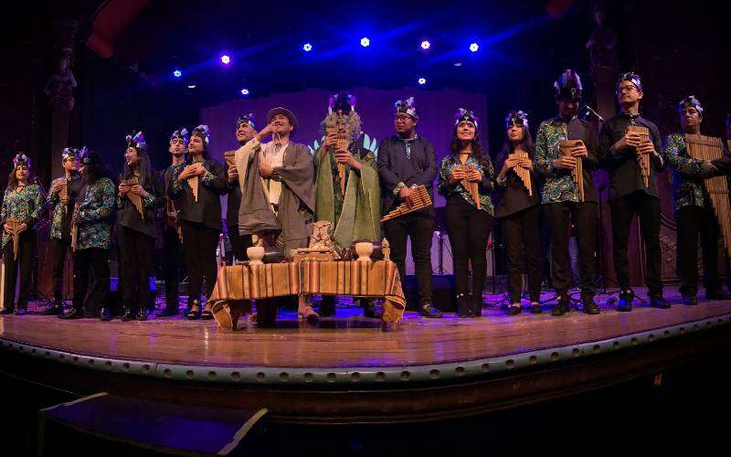 'Suite de las Aves Quiteñas’, un concierto para conectar con la naturaleza 1 aves quiteñas