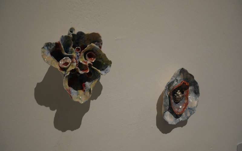 ‘Etérea’, arte invisible a lo visible 6 Eterea arte exposición