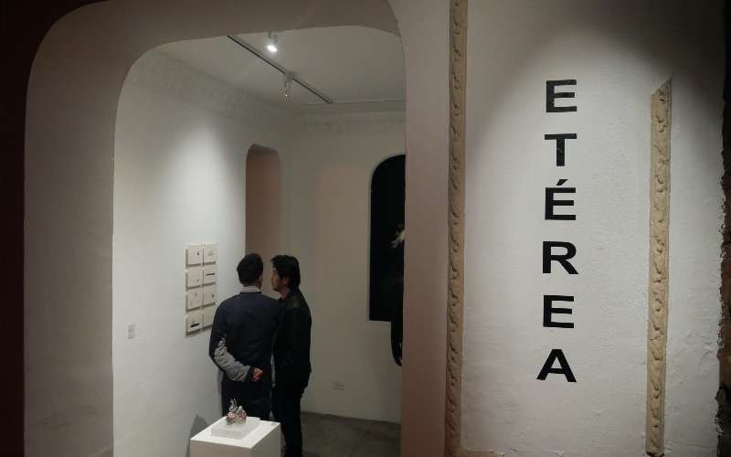 ‘Etérea’, arte invisible a lo visible 1 Eterea arte exposición