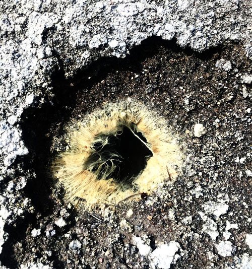 El científico que ayuda a encontrar vida extraterrestre. 5 Cuenca del Géiser Norris, 2017.