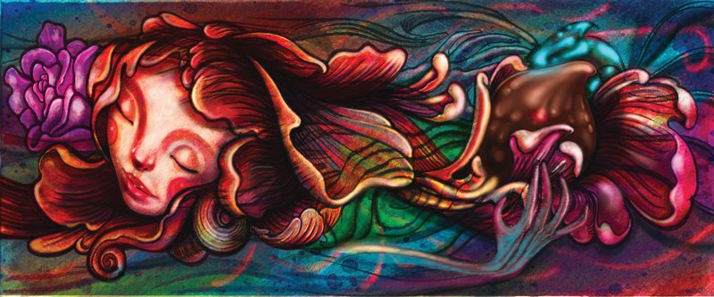 Las razones del chocolate. 1 Firma--Diego--Chocolate