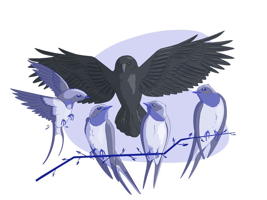 Leche negra de la madrugada. 1 Firma-Ruales