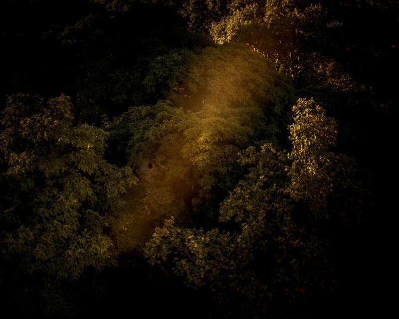 Canción de la mañana 1 Foto 007