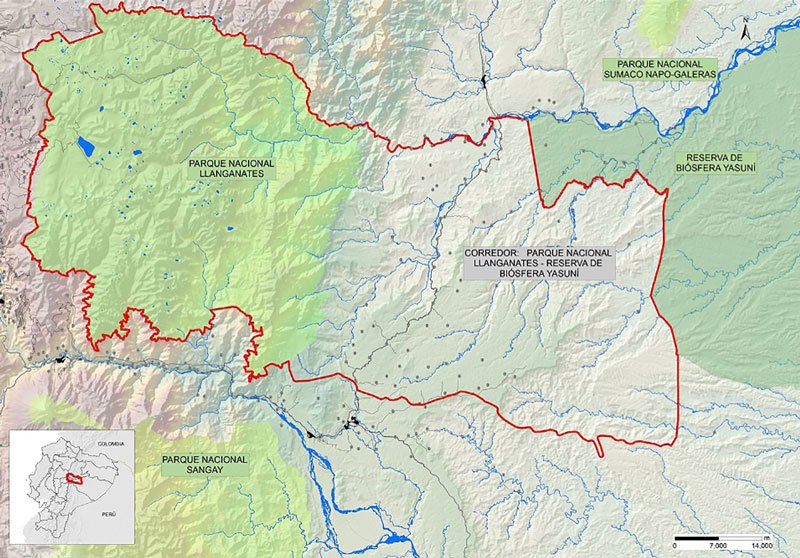 La búsqueda de El Dorado. 4 Historia----4