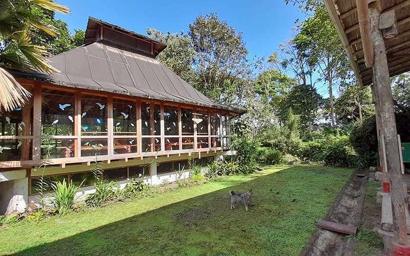 Glamping 7 Hosteria La Roulotte 4 1