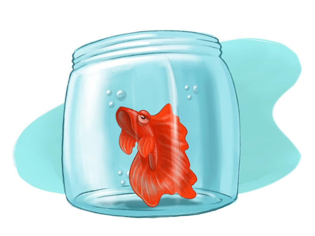 Diario fallido. 1 Huilo