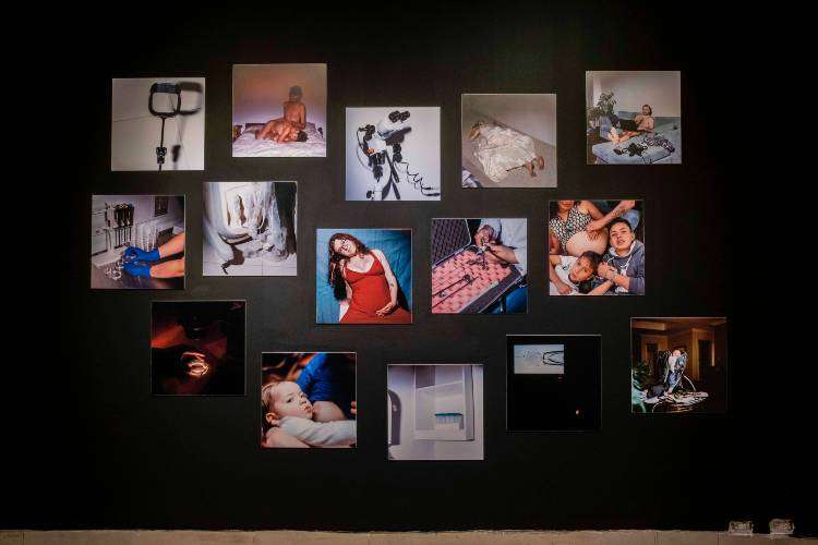 Fabiola Cedillo indaga en el mundo de la reproducción humana en la muestra ‘Humano’ 1 Humano4 1 1