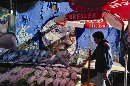 Renaciendo en el grafiti 5 IK.Valpo .art .2011.16 OK