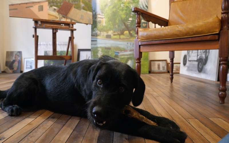 Ilowasky Ganchala: “mi hábito y mi urgencia es pintar” 7 Ilowasky Ganchala