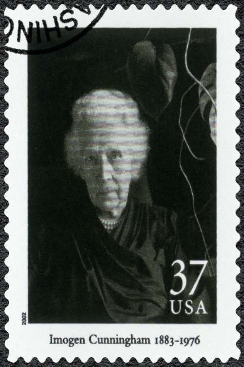 Obras de fotógrafas notables del siglo XX se exhibirán en Nueva York 1 Imogen fotografas 1