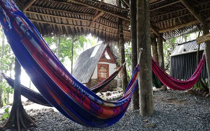 Glamping 9 Jungle Roots hamacas 1
