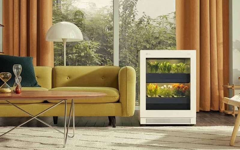 Hogares más verdes 1 Invernadero.