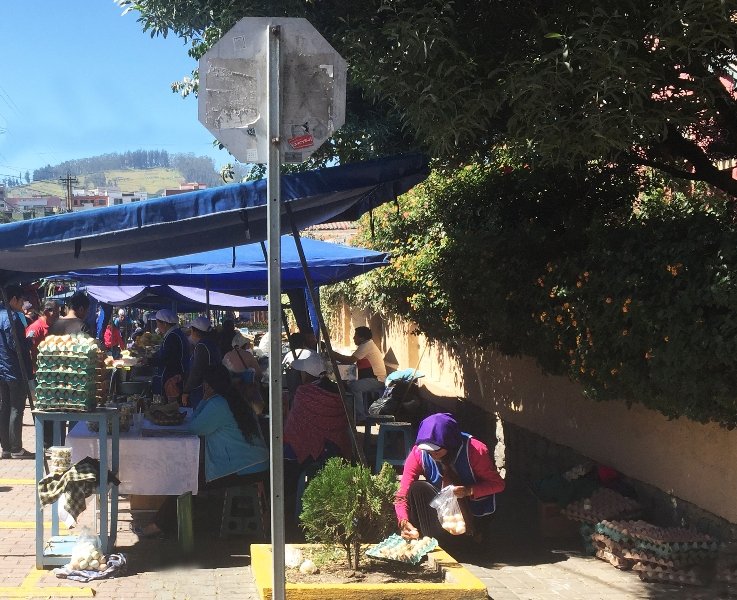 La Floresta quiere seguir siendo barrio. 7 La-Floresta-6