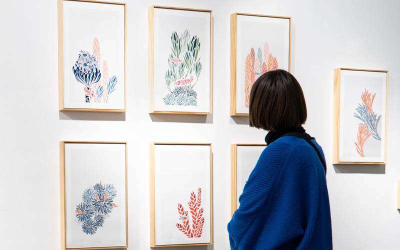 Belén Mena se sumerge en las profundidades del páramo 1 Exposición Belén Mena Altamar