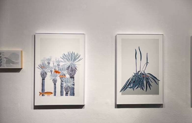 Belén Mena se sumerge en las profundidades del páramo 2 Mena4 1