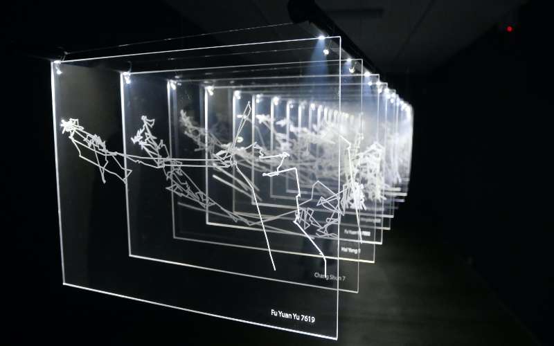 Milka Segovia, arte visual emergente y activismo ambiental 1 Milka Segovia