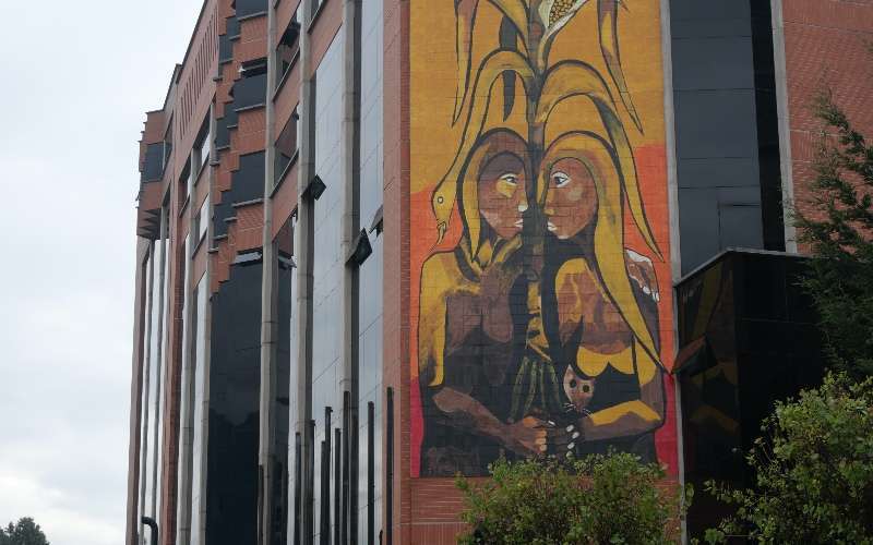 Murales y coloridas reflexiones femeninas 7 Murales Mujeres nueve 1